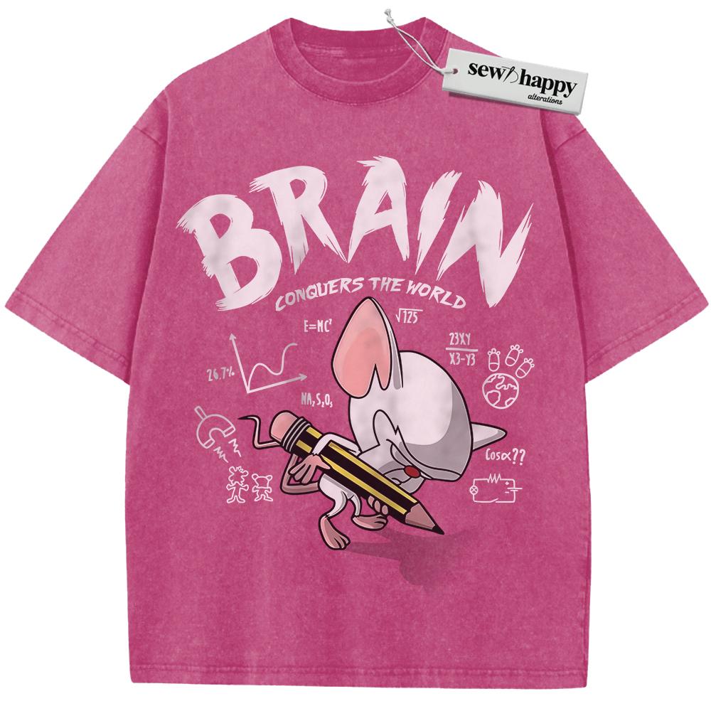 Wash Tee Pinky and the Brain Shirt, Animated Shirt, Vintage T-Shirt