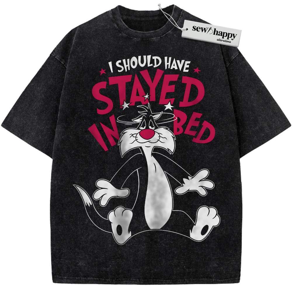 Wash Tee Sylvester Shirt, Looney Tunes Shirt, Animated Shirt, Vintage Tee